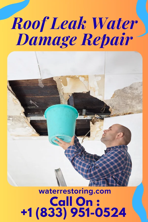 Roof Leak Water Damage Repair in West Salem, IL